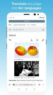 kiwi浏览器安卓中文版截屏2