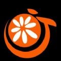 橘子视频美化安卓版