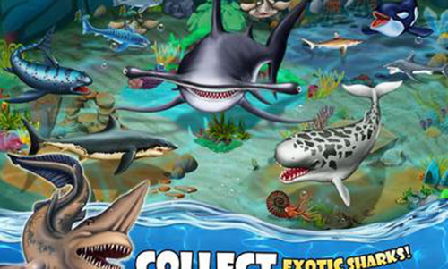 鲨鱼世界安卓破解版截屏2