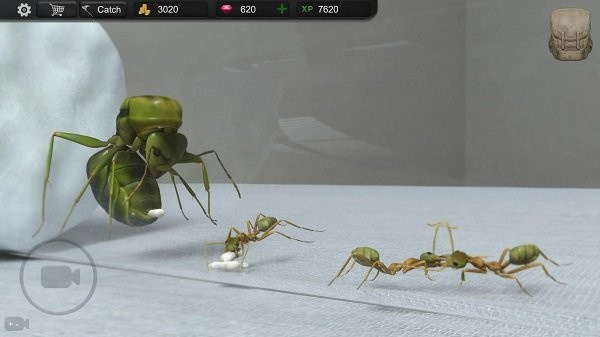 蚂蚁模拟大亨安卓汉化版截屏2